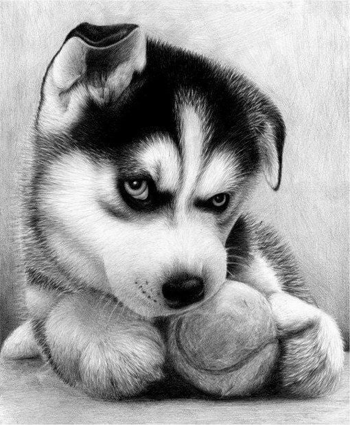 Husky DIY Diamond Painting