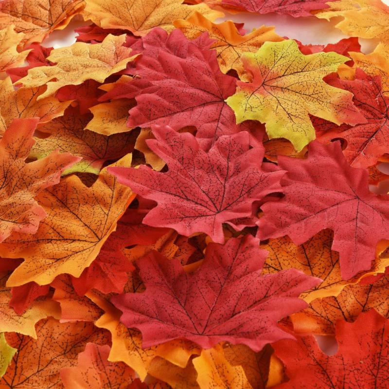 Simulation Maple Leaves