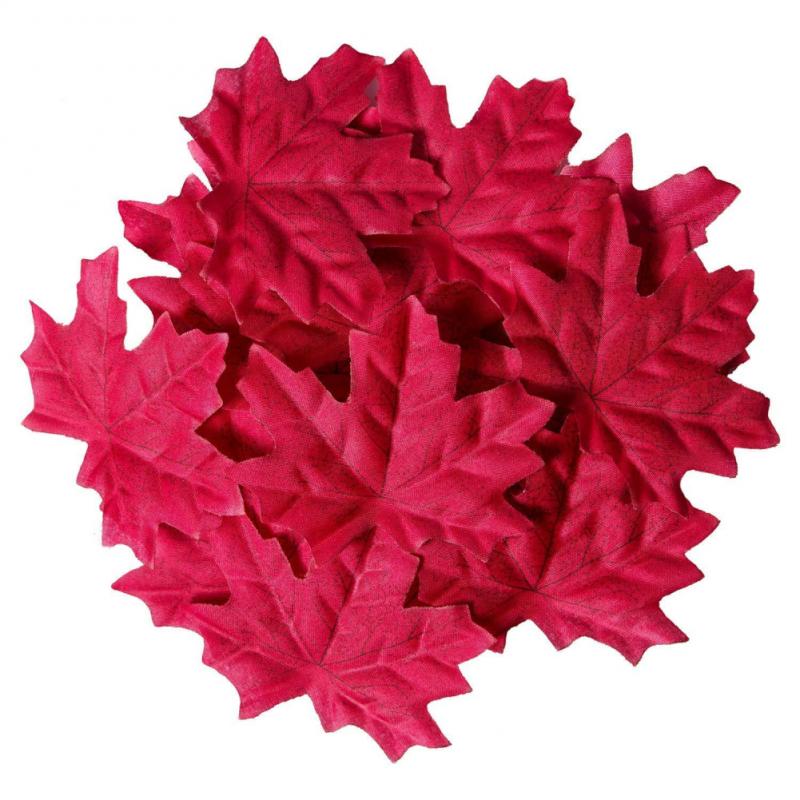 Simulation Maple Leaves